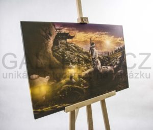 foto obrazy fotoateliér líbeznice fotograf praha Jakub Morávek pargue photographer2