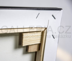 foto obrazy fotoateliér líbeznice fotograf praha Jakub Morávek pargue photographer4